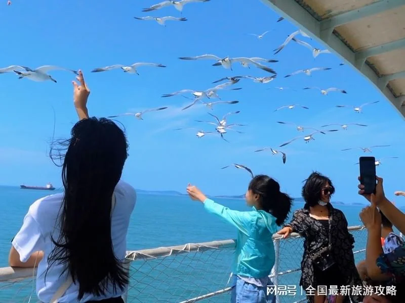 2026 青岛超全旅游攻略!含避坑指南第一次去青岛看这篇就够|青岛市|山东省|导游|小雅|崂山_手机新浪网