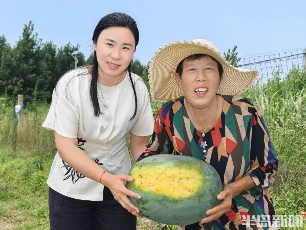 爱心助农！胶州大姨两亩西瓜销售一空