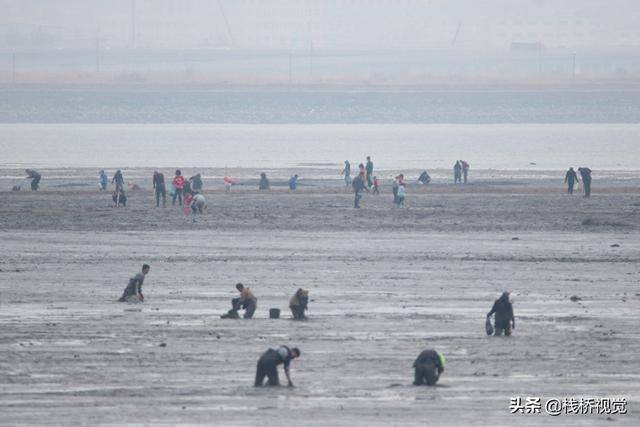 赶海
