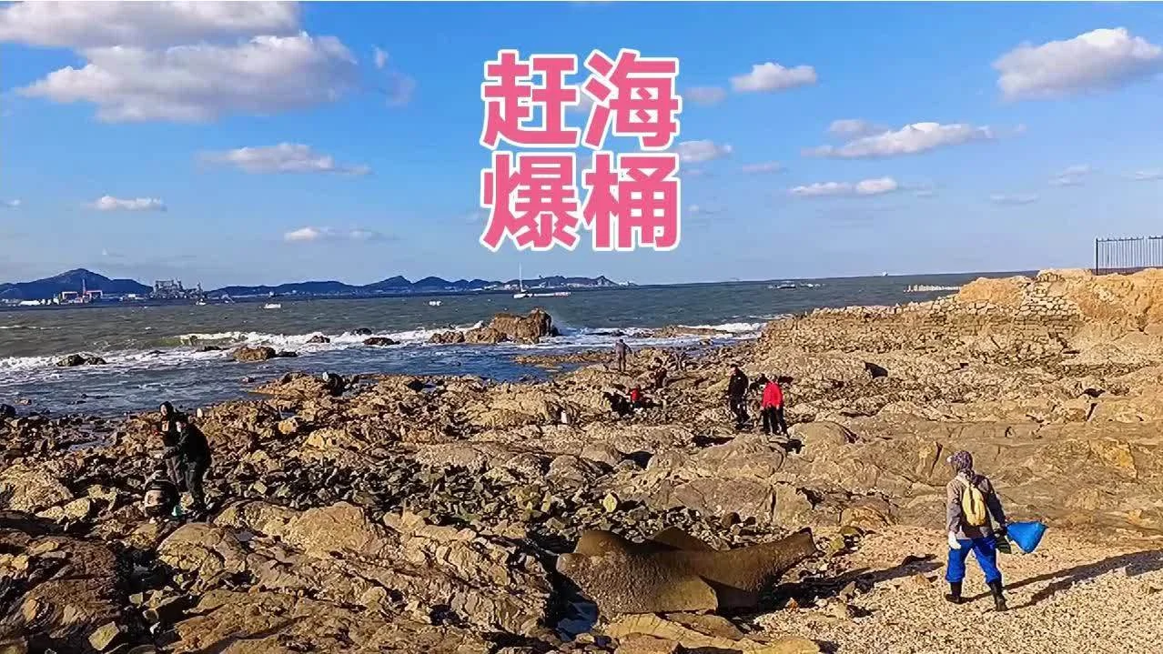 青岛赶海收获