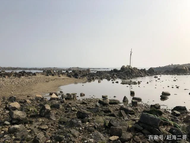赶海