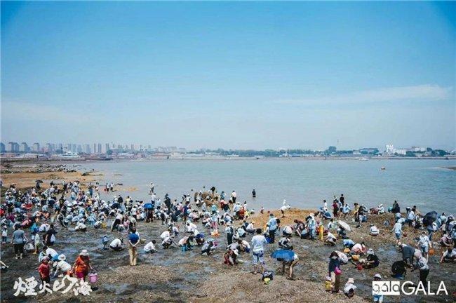 赶海