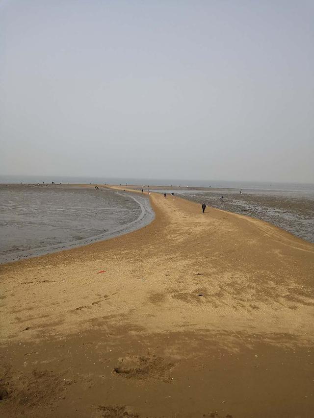 赶海