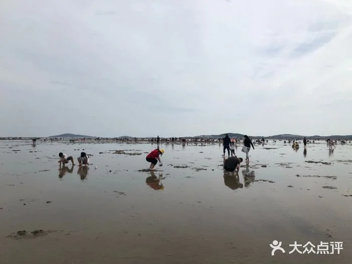 崂山会场赶海