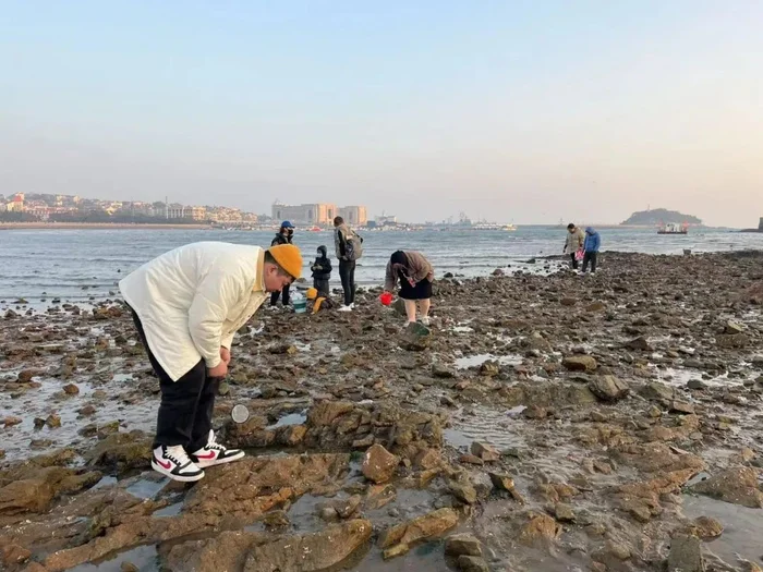 赶海